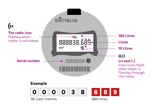 Sensus smart meter