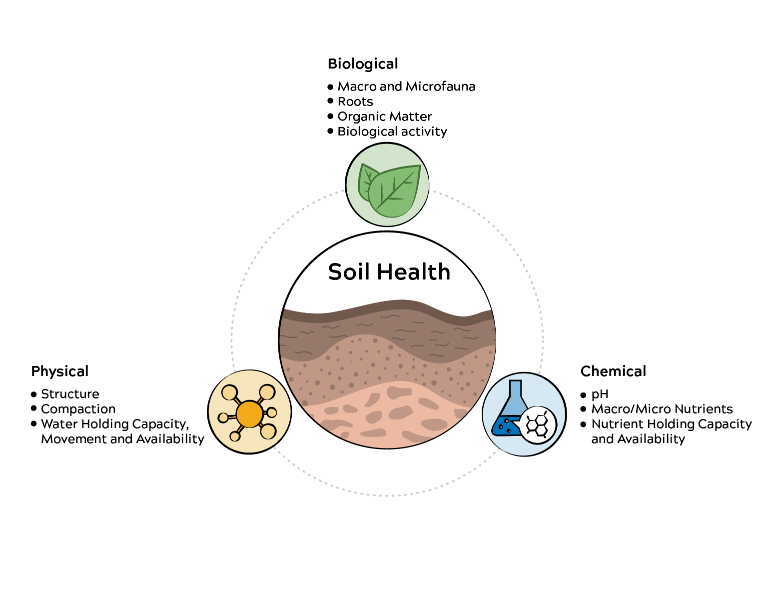 aws_illustration_soil_health_triange.jpg
