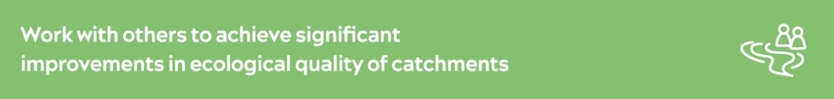 Ecological banner 2.jpg